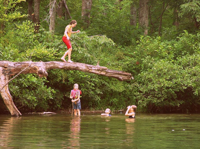 several kids are swimming and in a creek. one is walking on a fallen tree that hangs over the water.